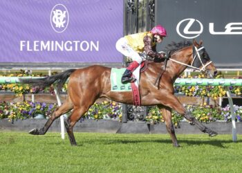 Ko Phangan earns Derby ticket but Guineas beckons