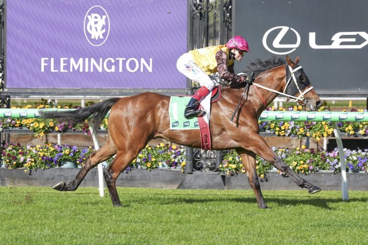 Ko Phangan ridden by Craig Williams wins the TAB Byerley Handicap at Flemington Racecourse on July 18, 2026 in Flemington, Australia. (Photo by Brett Holburt/Racing Photos)