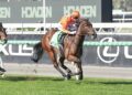 Riverina Lulu announces herself with dazzling debut win