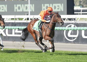 Riverina Lulu announces herself with dazzling debut win