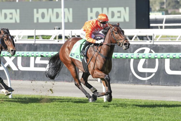 Riverina Lulu ridden by Harry Coffey wins the TAB We're On at Flemington Racecourse on July 18, 2026 in Flemington, Australia. (Photo by Brett Holburt/Racing Photos)