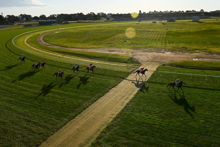 Generic raceday images at Sportsbet Sandown Lakeside Racecourse on August 14, 2024 in Springvale, Australia. (Photo by Morgan Hancock/Racing Photos)