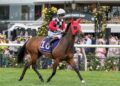 Dean Watling’s NSW trial report: A stuffed blackbook full of coming winners