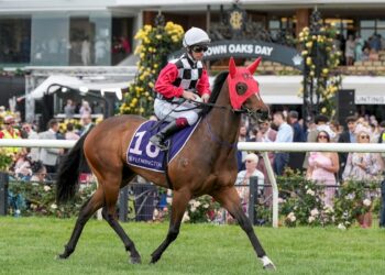 Dean Watling’s NSW trial report: A stuffed blackbook full of coming winners