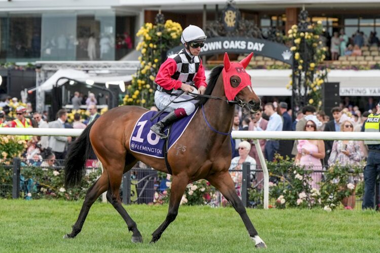 Dean Watling was impressed with how Vestas moved in her Sydney jump-out. (Credit: Racing Photos)