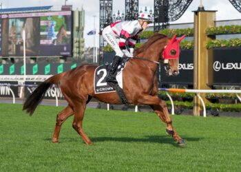 Dressage gives Pinstriped fresh spring hope ahead of Caulfield return