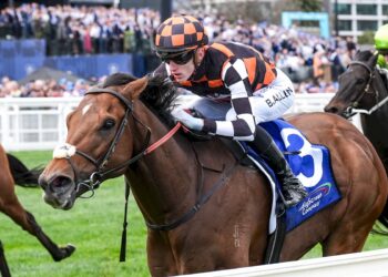 Zou Sensation’s interstate days are over