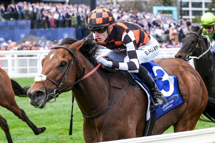 Zou Sensation ridden by Ben Allen wins the The Big Screen Company Weekend Hussler at Caulfield Racecourse on October 11, 2025 in Caulfield, Australia. (Photo by George Sal/Racing Photos)
