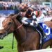 Zou Sensation’s interstate days are over