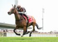 Maher plots Melbourne Cup path for Shockletz