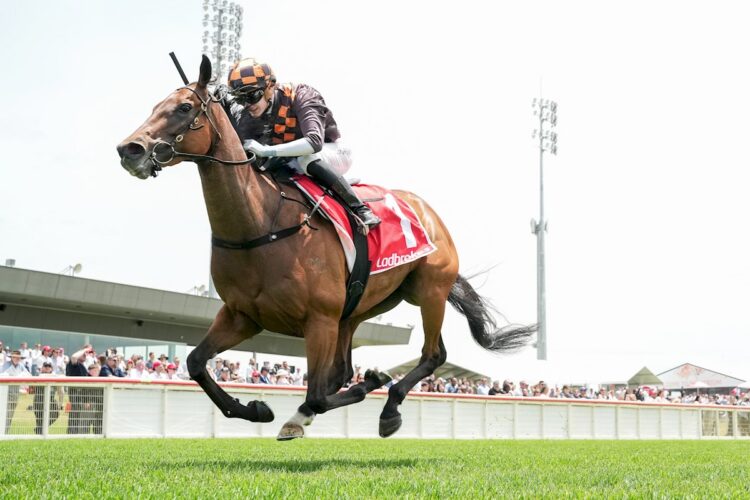 Shockletz (NZ) ridden by Luke Cartwright wins the Ray White Pakenham & Officer Handicap at Sportsbet Pakenham on December 13, 2025 in Pakenham, Australia. (Photo by George Sal/Racing Photos)