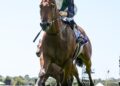 Hard Kick launches spring campaign with Coolmore glory firmly in sight