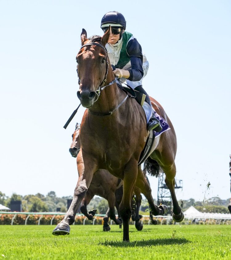 Hard Kick ridden by Damian Lane wins the TAB Talindert Stakes at Flemington Racecourse on February 14, 2026 in Flemington, Australia. (Photo by George Sal/Racing Photos)