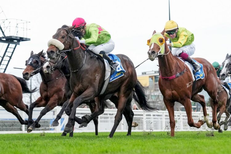 Winnasedge ridden by Luke Currie wins the  Sir John Monash Stakes at Caulfield Racecourse on July 11, 2026 in Caulfield, Australia. (Photo by George Sal/Racing Photos)