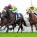 Winnasedge announces himself with impressive Sir John Monash triumph