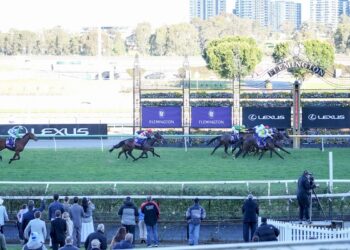 Bold Soul set for jumps after Flemington thriller