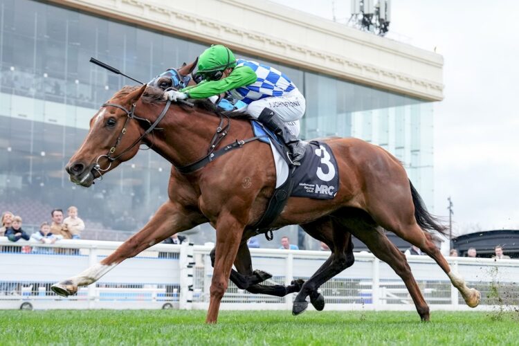 Tennessee Bound ridden by Jabez Johnstone wins the Sportsbet Caulfield Cup Carnival Hospitality Handicap at Caulfield Racecourse on July 25, 2026 in Caulfield, Australia. (Photo by George Sal/Racing Photos)