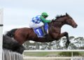 Stern Idol scares off rivals as $80,000 Mosstrooper is cancelled