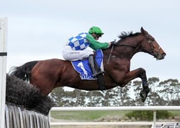 Stern Idol scares off rivals as $80,000 Mosstrooper is cancelled