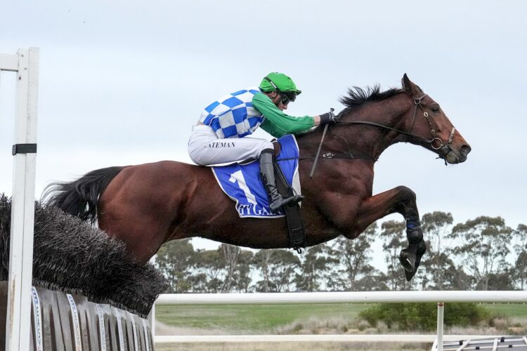 Stern Idol (IRE) ridden by Steven Pateman jumps a steeple on the way to winning the Ecycle Solutions Mosstrooper Steeplechase at Hamilton Racecourse on July 20, 2025 in Hamilton, Australia. (Photo by George Sal/Racing Photos)