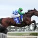 Stern Idol scares off rivals as $80,000 Mosstrooper is cancelled