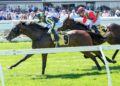 Betwitchery faces straight-track test in hat-tick quest