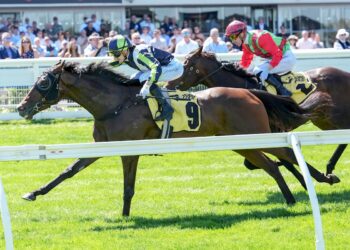 Betwitchery faces straight-track test in hat-tick quest