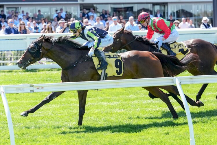 Betwitchery ridden by Luke Cartwright wins the Avenel Equine Hospital VOBIS Gold Distaff at Caulfield Racecourse on March 14, 2026 in Caulfield, Australia. (Photo by George Sal/Racing Photos)