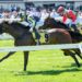 Betwitchery faces straight-track test in hat-tick quest
