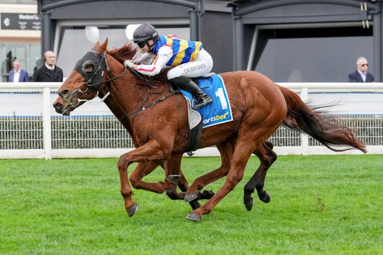 Jimmy The Bear ridden by Holly Durnan wins the Rod Griffiths Handicap at Caulfield Racecourse on May 30, 2026 in Caulfield, Australia. (Photo by George Sal/Racing Photos)