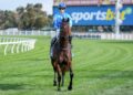 Jabez Johnstone wore the heat, but the stewards’ report tells a different story