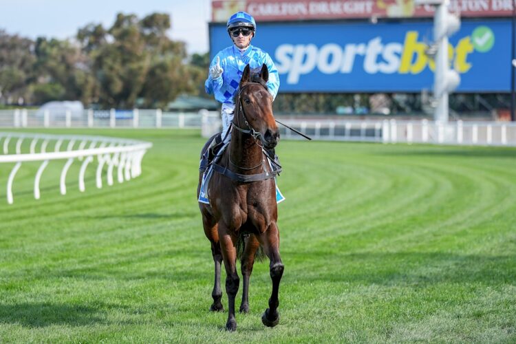 Jabez Johnstone returns to the mounting yard aboard Angels Fury after winning the Sportsbet Race Previews Handicap at Caulfield Racecourse on July 11, 2026 in Caulfield, Australia. (Photo by George Sal/Racing Photos)