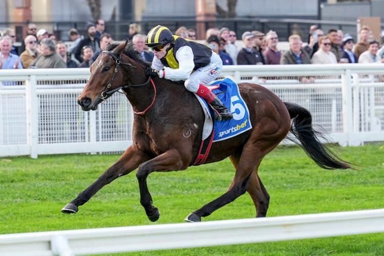 Cruiserweight (NZ) ridden by Craig Williams wins the Sportsbet Jockey Watch Handicap at Caulfield Racecourse on July 11, 2026 in Caulfield, Australia. (Photo by George Sal/Racing Photos)