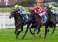Caulfield carnage: TAB punters turn $3,000 into $136,000