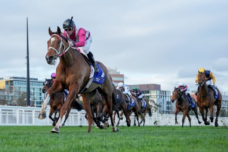 Cosmic Crusader (NZ) ridden by Daniel Stackhouse wins the The Big Screen Company Bletchingly Stakes at Caulfield Racecourse on July 25, 2026 in Caulfield, Australia. (Photo by George Sal/Racing Photos)
