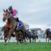 Perth star stamps spring claims