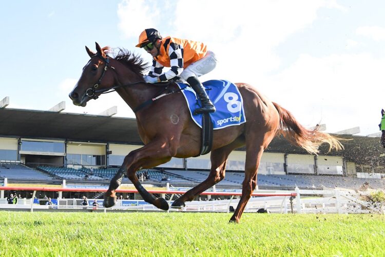 French Accord ridden by Luke Currie wins the Sportsbet Fast Form Plate at Sportsbet Sandown Hillside Racecourse on July 22, 2026 in Springvale, Australia. (Photo by Pat Scala/Racing Photos)