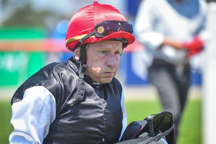 Cyril Small the Wilsons Real Estate Maiden Plate at Geelong Racecourse on December 26, 2022 in Geelong, Australia. (Photo by Reg Ryan/Racing Photos)