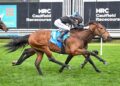 Ryan lands plunge with debut winner