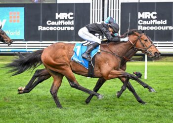 Ryan lands plunge with debut winner