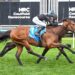 Ryan lands plunge with debut winner