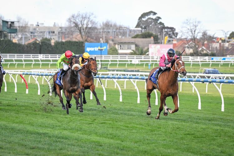 Cosmic Crusader (NZ) ridden by Daniel Stackhouse wins the The Big Screen Company Bletchingly Stakes at Caulfield Racecourse on July 25, 2026 in Caulfield, Australia. (Photo by Reg Ryan/Racing Photos)