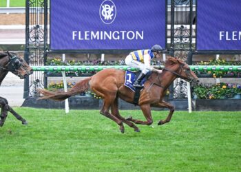 Back ‘Em, Sack ‘Em, Track ‘Em: Finals Day, hidden winners and why the market isn’t always right