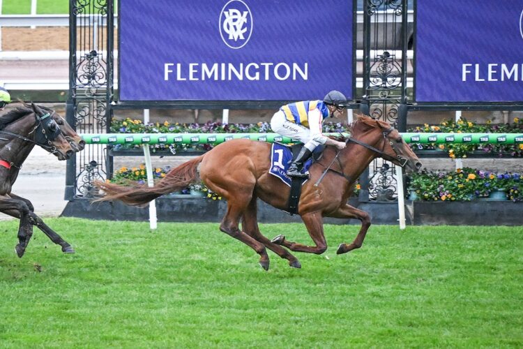 Clevor Trever ridden by Billy Egan wins the Silver Bowl Series Final 
(Photo by Reg Ryan/Racing Photos)