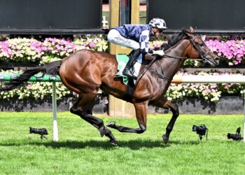 Sass Appeal’s Group 1 spring takes shape