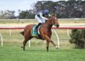 Racing’s drug saga widens as six more trainers charged
