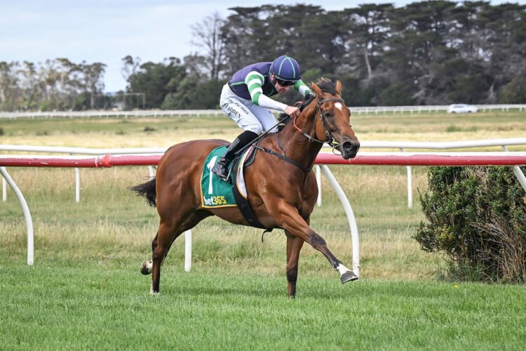 Major Share is one of the latest six horses caught up in racing's drug saga (Photo by Reg Ryan/Racing Photos)