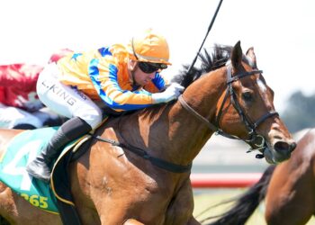 Matt Welsh thinks Astari can run well on Monday. (Credit: Racing Photos)