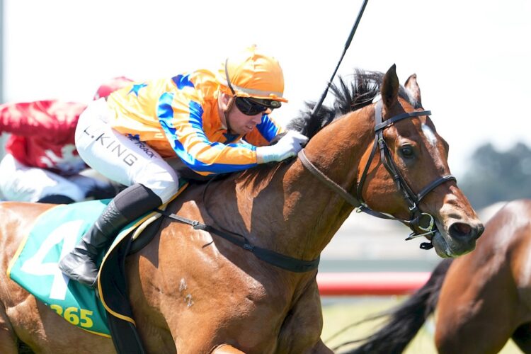 Matt Welsh thinks Astari can run well on Monday. (Credit: Racing Photos)