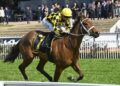 The humble benchmark with an extraordinary Group 1 record